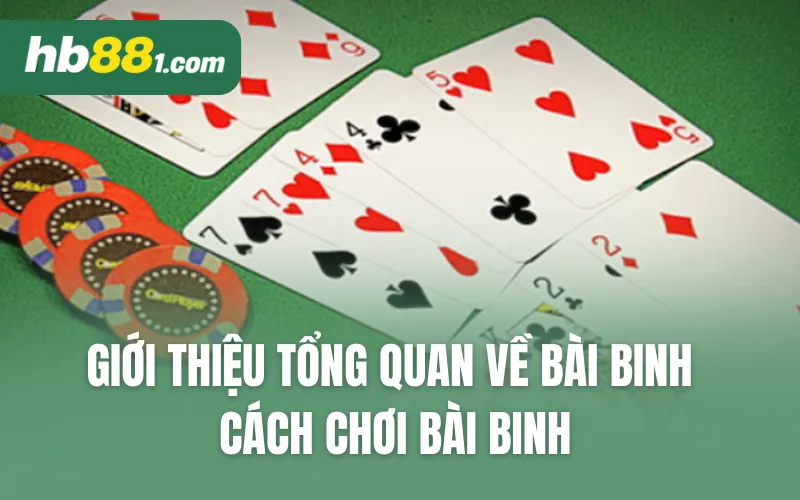 Giới thiệu tổng quan về bài binh, cách chơi bài binh