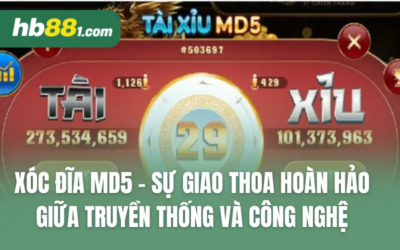 Xóc đĩa MD5 - Sự giao thoa hoàn hảo giữa truyền thống và công nghệ